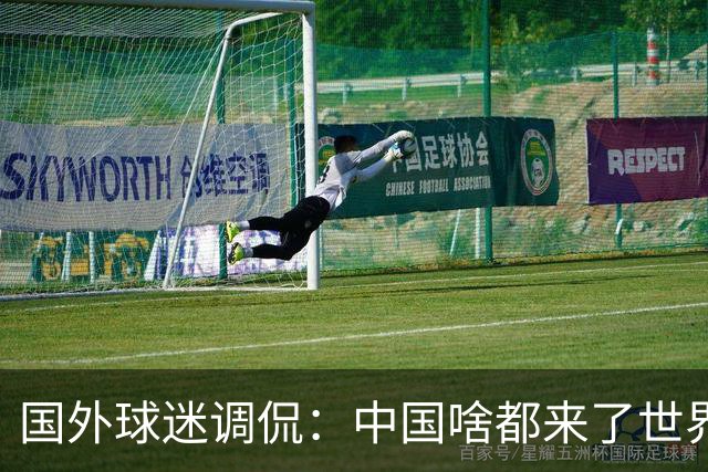 国外球迷调侃：中国啥都来了世界杯，就是球队没有来