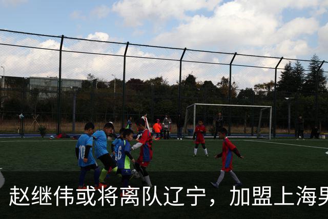 赵继伟或将离队辽宁，加盟上海男篮？卢伟表态引发热议